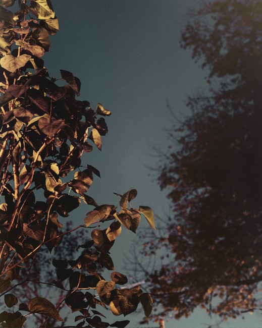 photograph by jimmy fountain. untitled, 2012